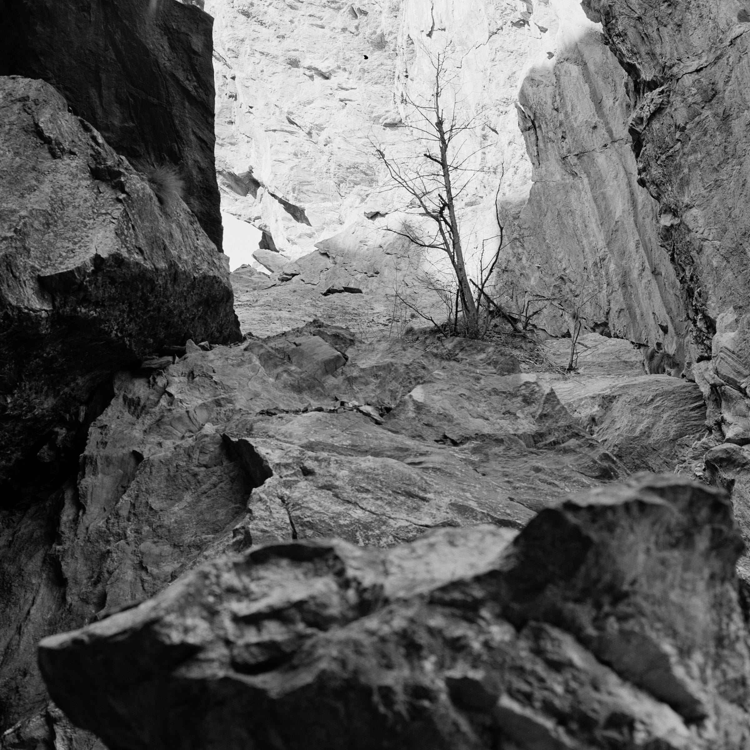 mountains | analog black and white photography