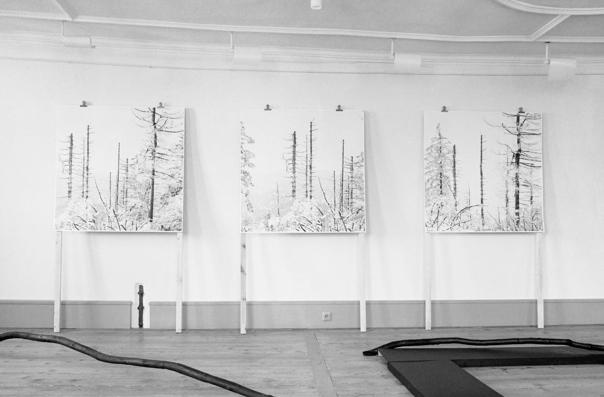 Exhibition Ist-Zustand | KV Oberer Neckar | Horb