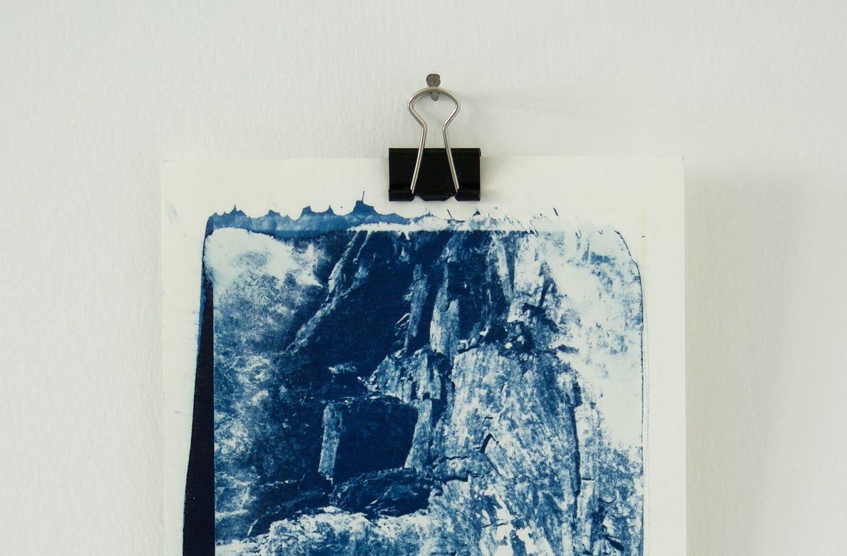 256 cyanotypes / 11 cm × 15,5 cm each
